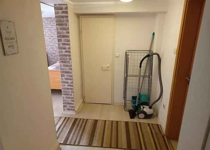 公寓 Octopus-2 Monteurwohnung In Zentrum! 2-zkb Im 2og 霍夫吉斯马尔