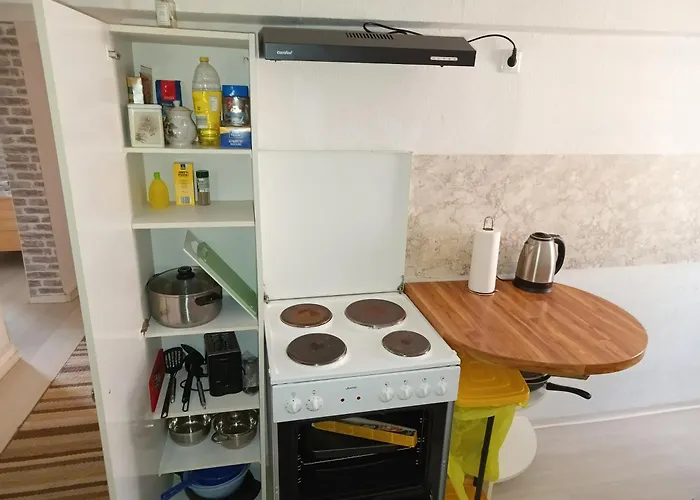 Octopus-2 Monteurwohnung In Zentrum! 2-zkb Im 2og 公寓